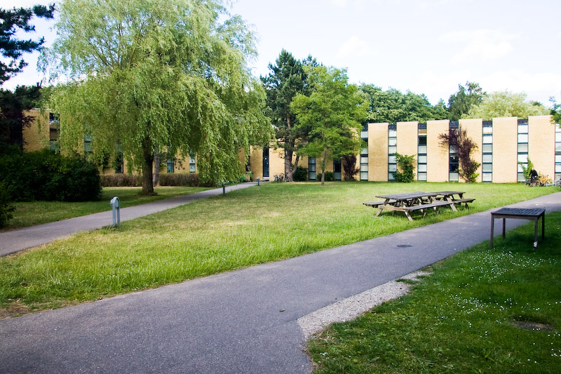 Udendørsområde ved Nybrogård Kollegiet
